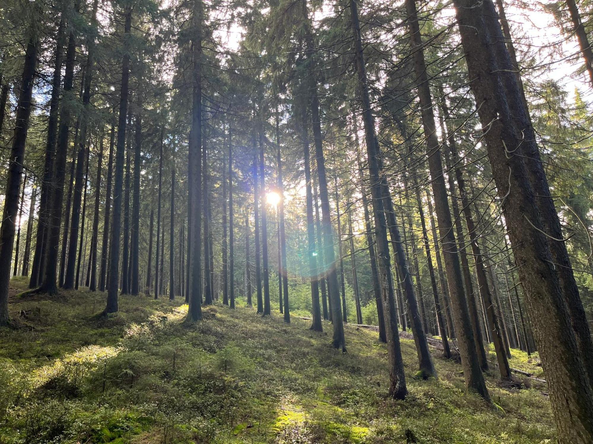 Roubenky Hrebecna Villa Exteriör bild